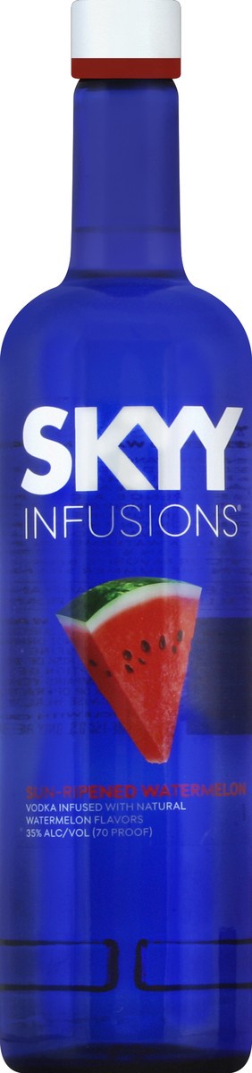 slide 1 of 2, Skyy Vodka 750 ml, 750 ml