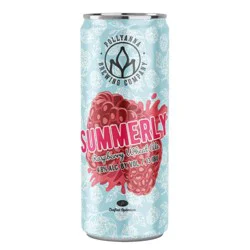 Pollyanna Brewing Company Pollyanna Seasonal Beer - 4pk/16 fl oz Cans