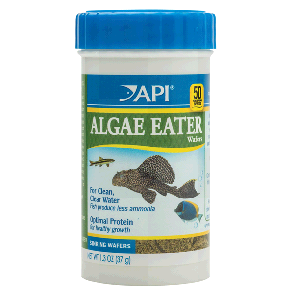 slide 1 of 1, API Algae Wafer Fish Food, 1.3 oz
