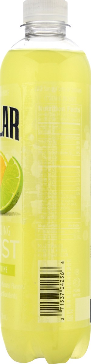 slide 4 of 12, Polar Frost Lemon Lime Sparkling Water - 17 oz, 17 oz