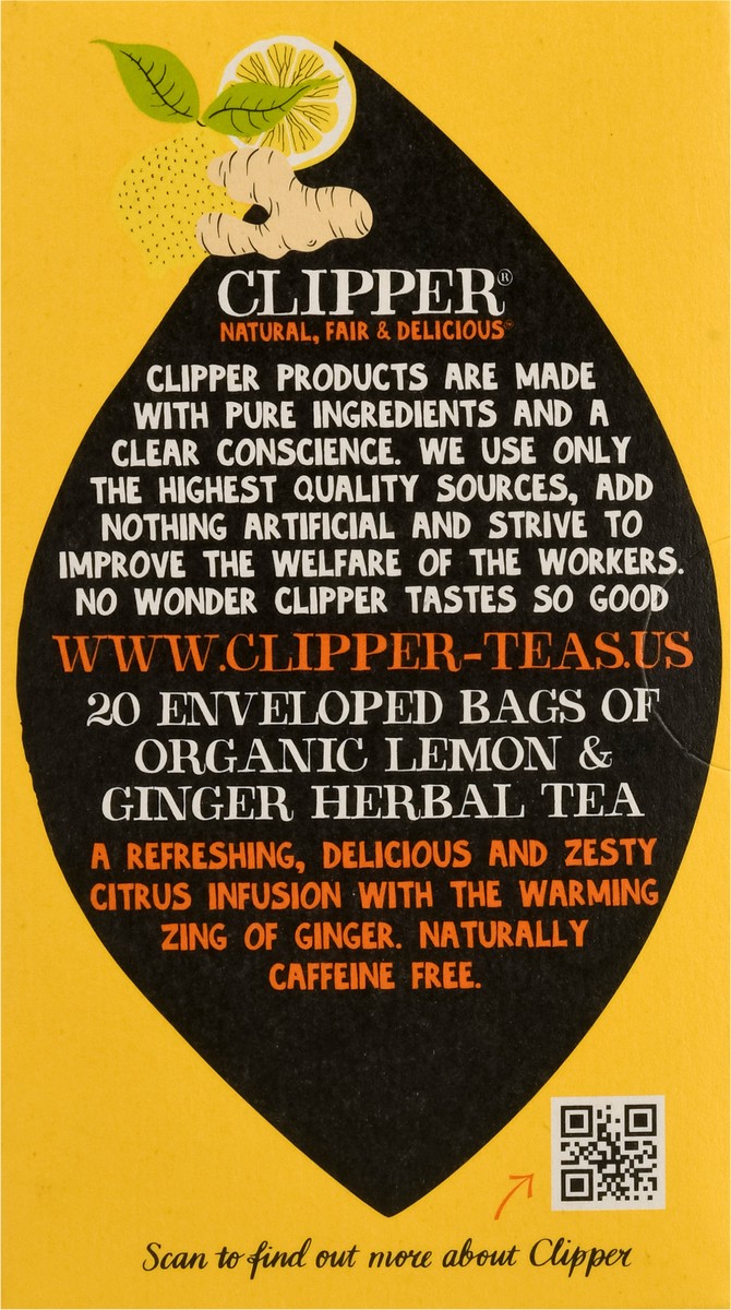 slide 7 of 9, Clipper Main Squeeze Organic Tea Bags- 20 ct, 20 ct