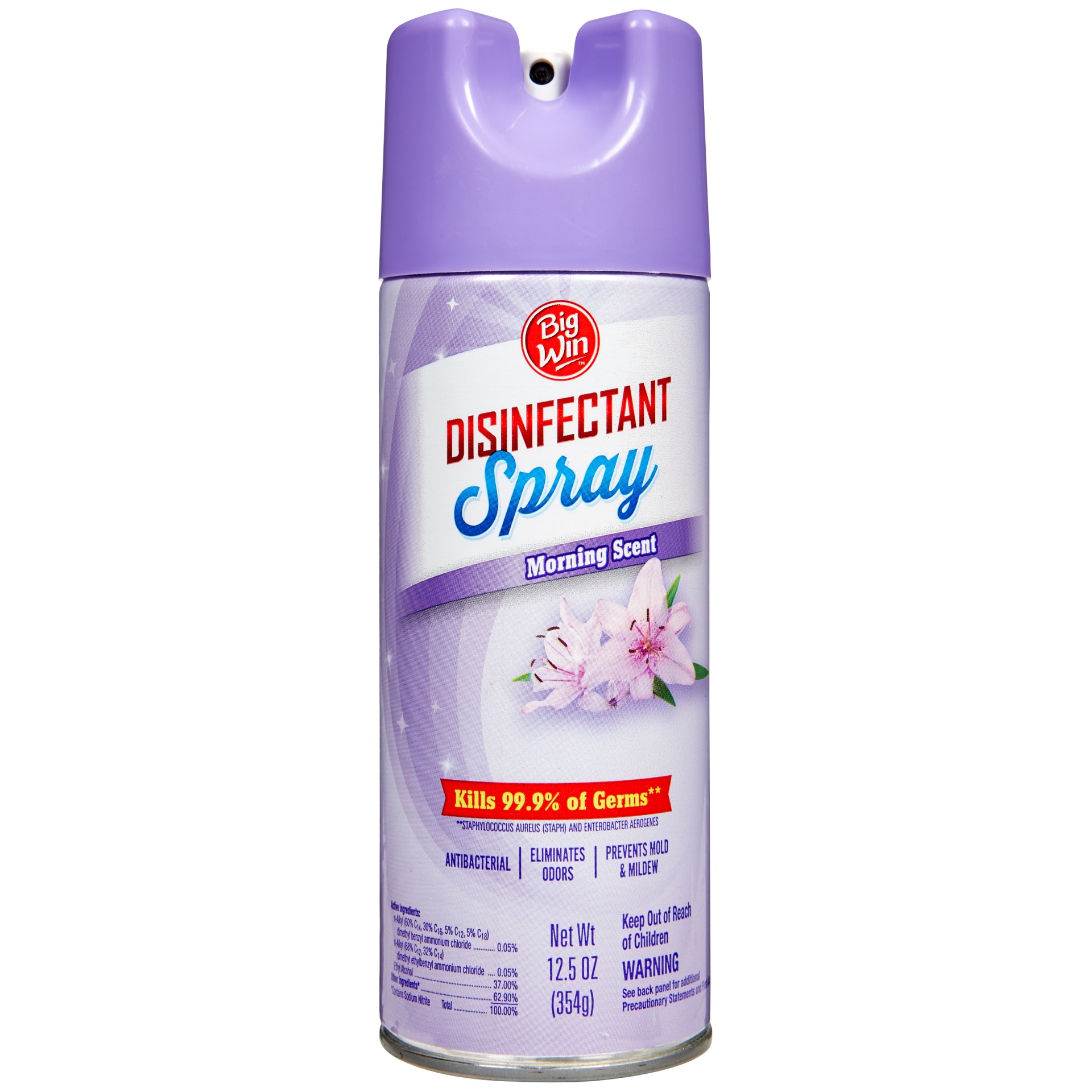 slide 1 of 1, Big Win Disinfectant Spray, Morning Scent, 12.5 oz