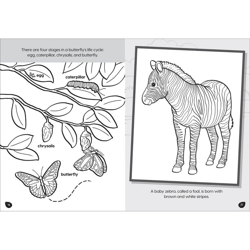 slide 3 of 6, Animal Planet: Wild Baby Animals Coloring and Activity Book (Board Book), 1 ct