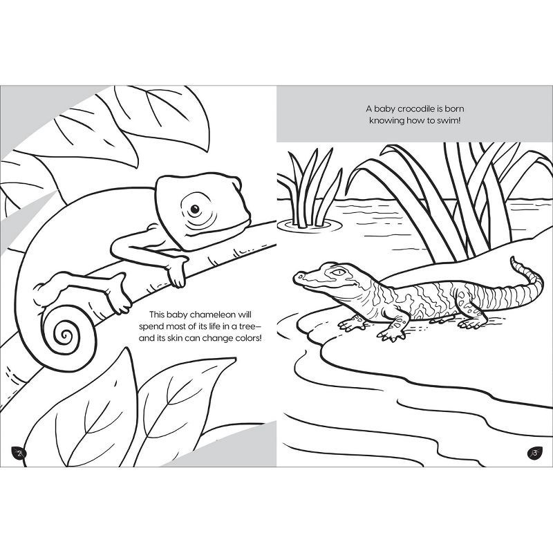 slide 6 of 6, Animal Planet: Wild Baby Animals Coloring and Activity Book (Board Book), 1 ct
