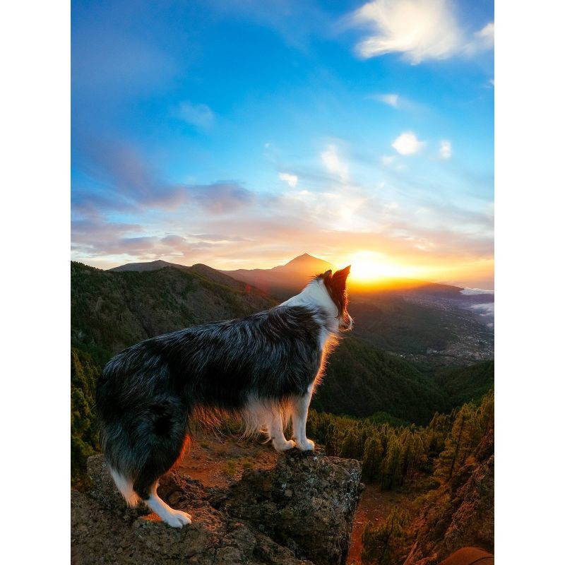 slide 6 of 19, GoPro HERO10 Action Camera, 1 ct