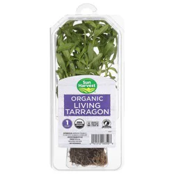 Sun Harvest Organic Tarragon