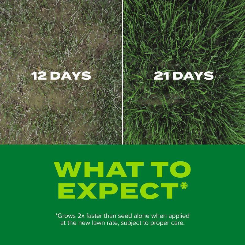 slide 5 of 9, Scotts Turf Builder Rapid Grass Seed Sun & Shade Mix - 5.6lb: Quick Germination, Lawn Fertilizer, Covers 2800 sq ft, 5.6 lb, 2800 sq ft