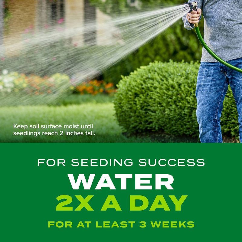 slide 4 of 9, Scotts Turf Builder Rapid Grass Seed Tall Fescue Mix - 5.6lb, 5.6 lb