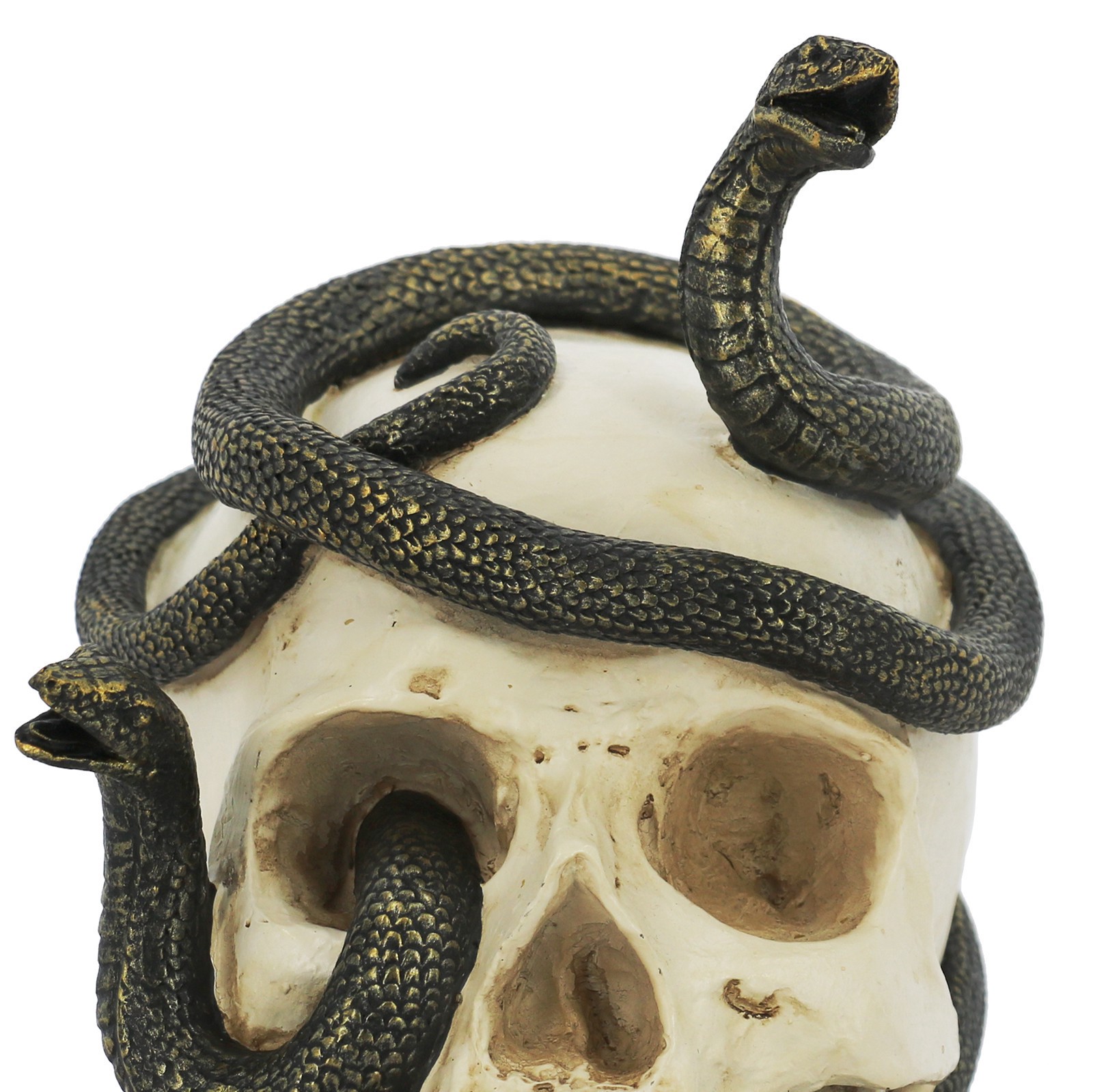slide 2 of 4, 7.25" Snake-Entwined Skull Tabletop Decor By Ashland, 7.25 in