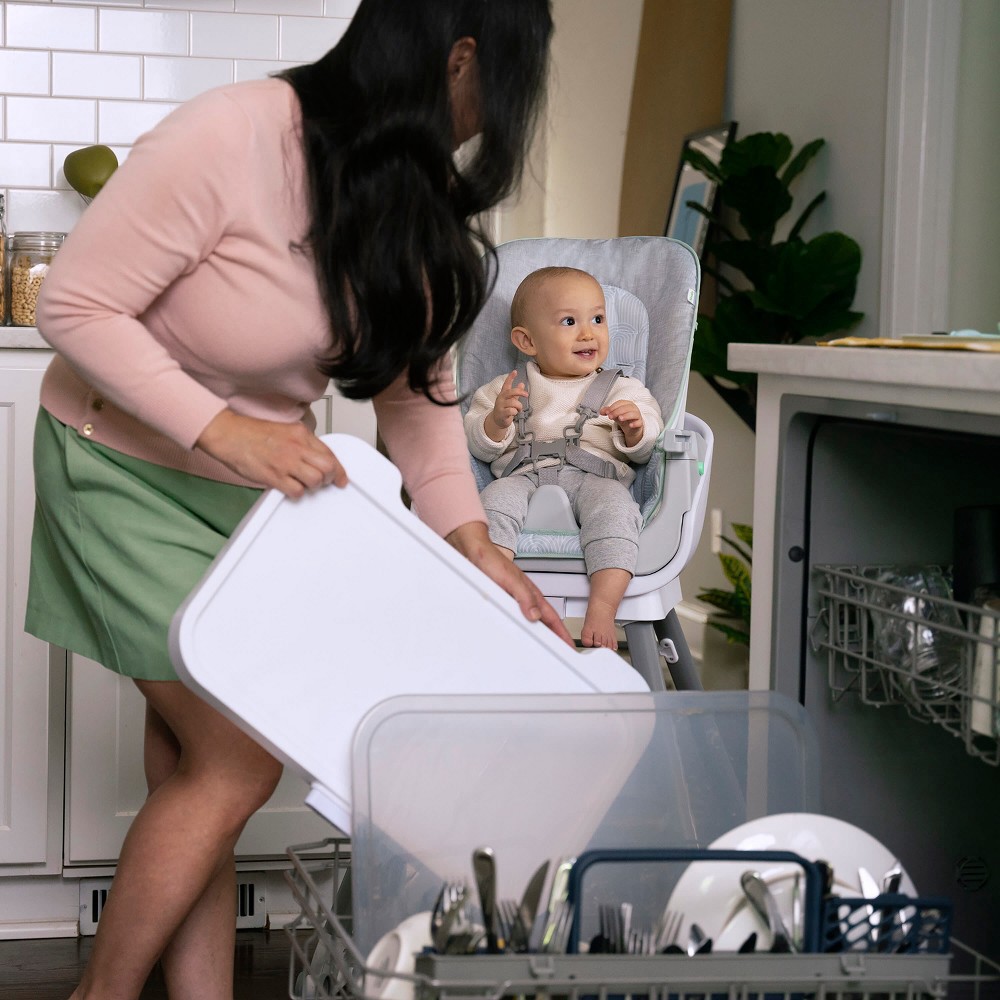 slide 4 of 17, Ingenuity Beanstalk Baby to Big Kid 6-in-1 High Chair - Newborn to 5 Years - Ray, 1 ct