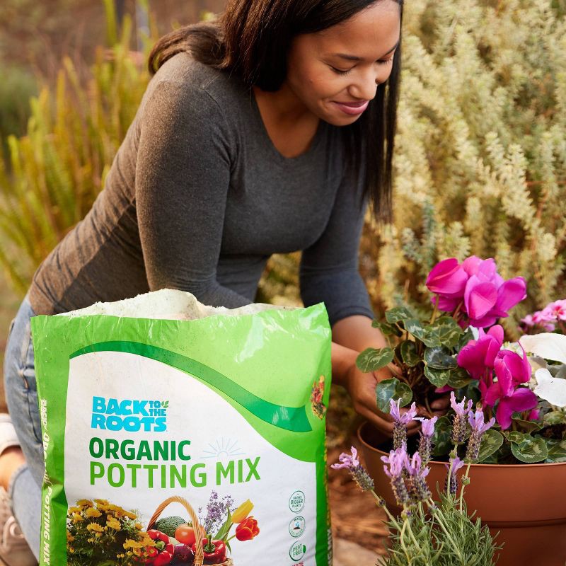 slide 2 of 11, Back to the Roots 25.7qt Organic Potting Mix All Purpose Specialty Blend, 25.7 qt