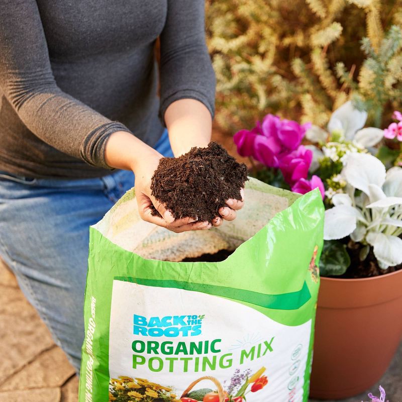 slide 4 of 11, Back to the Roots 25.7qt Organic Potting Mix All Purpose Specialty Blend, 25.7 qt