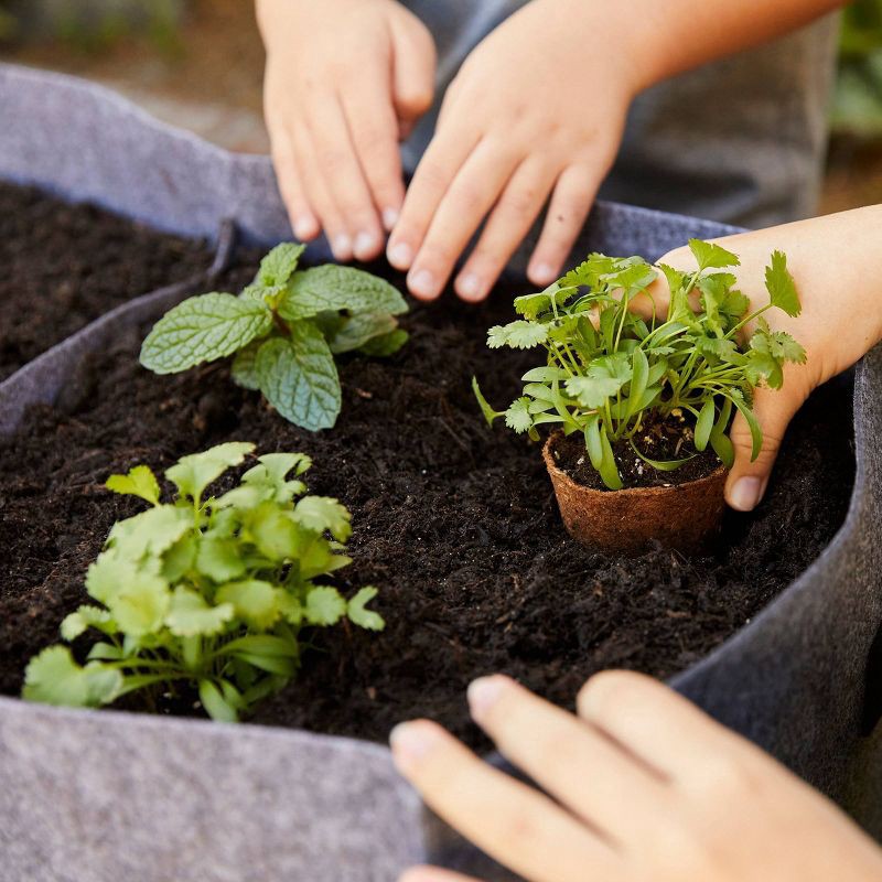 slide 6 of 6, Back to the Roots 24ct Organic & Peat Free Plantable Seed Starting Pots, 24 ct