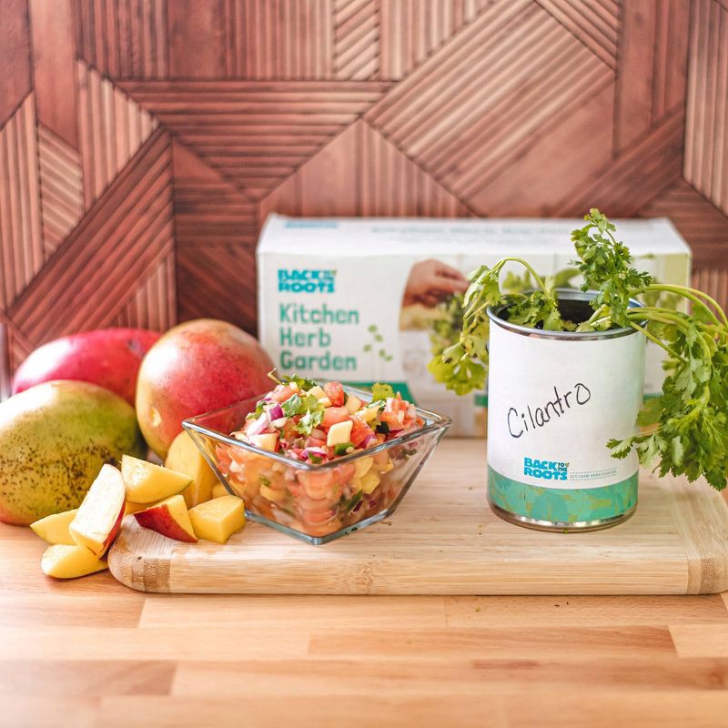 slide 4 of 7, Back to the Roots 3pk Organic Kitchen Herb Garden Seed Kits: Mint, Grow Can, Full Sun Required, 3 ct