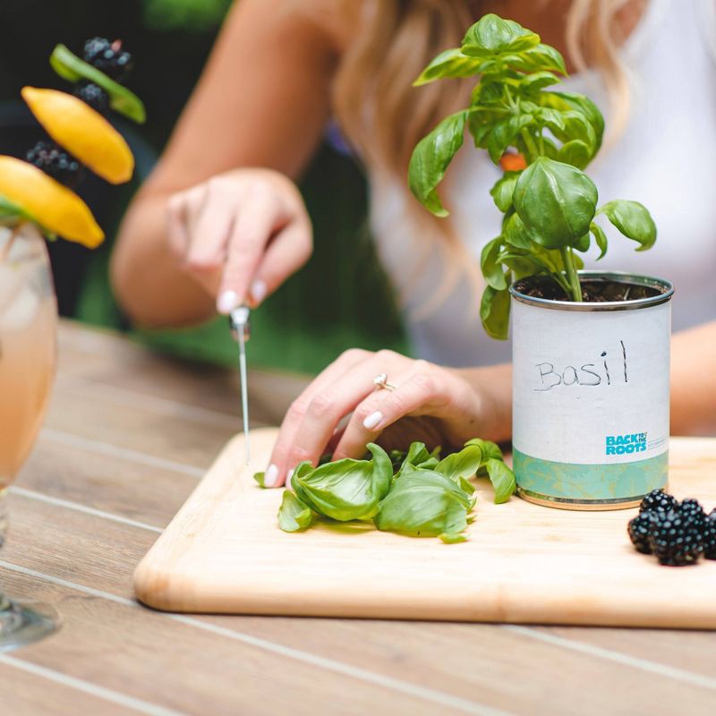 slide 5 of 7, Back to the Roots 3pk Organic Kitchen Herb Garden Seed Kits: Mint, Grow Can, Full Sun Required, 3 ct