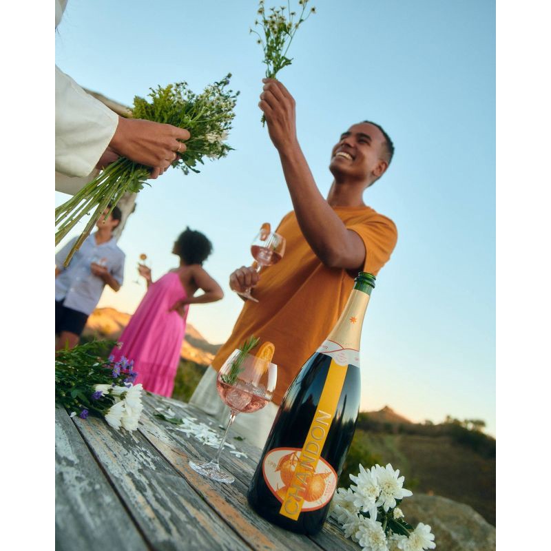 slide 5 of 6, Chandon Garden Spritz Sparkling Wine - 750mL Bottle, 750 ml