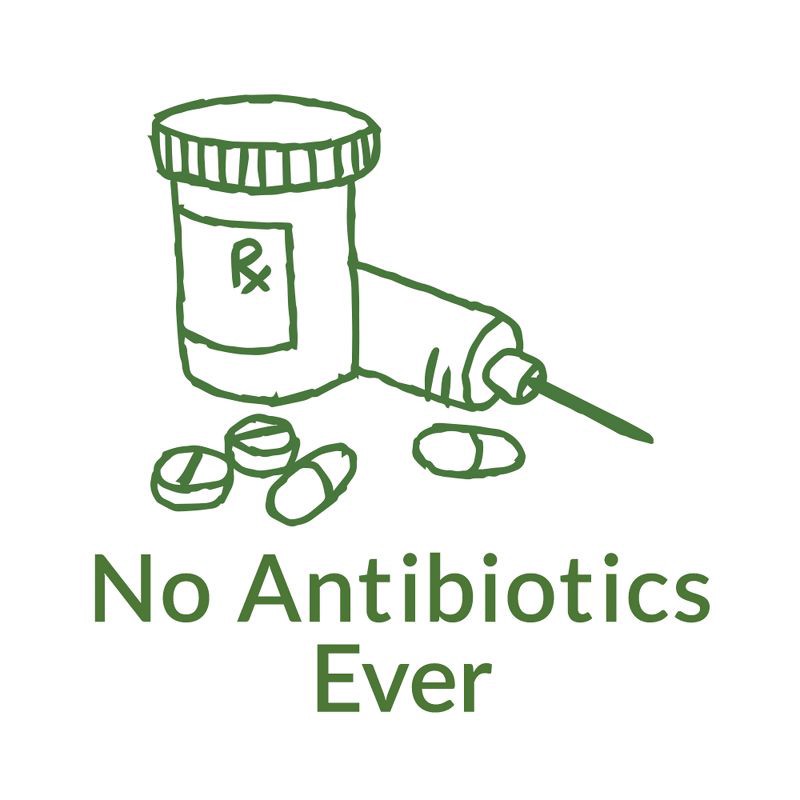 slide 6 of 6, Applegate Farms Applegate Natural Black Forest Uncured Ham Slices - 12oz, 12 oz