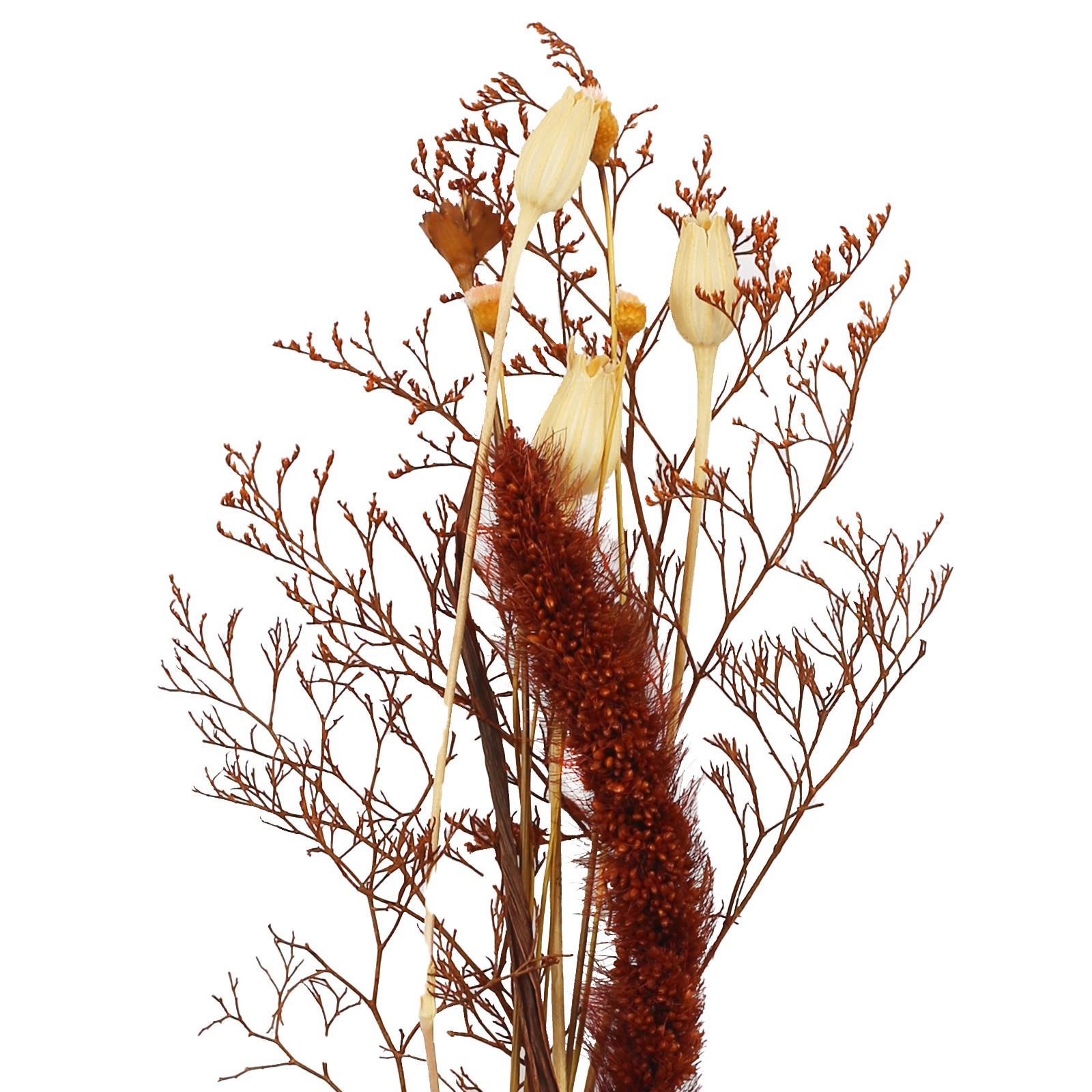 slide 2 of 2, 11" Rust Natural Dried Botanical Bundle By Ashland, 11 in