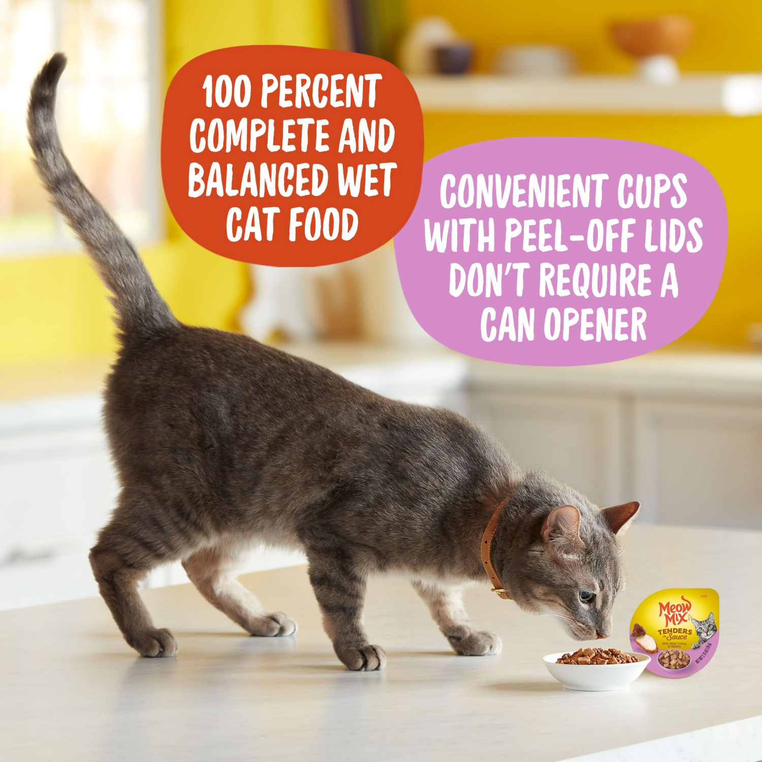 slide 5 of 7, Meow Mix Tender Favorites Cat Food, W/ Real Turkey & Giblets In Sauce, 2.75 oz