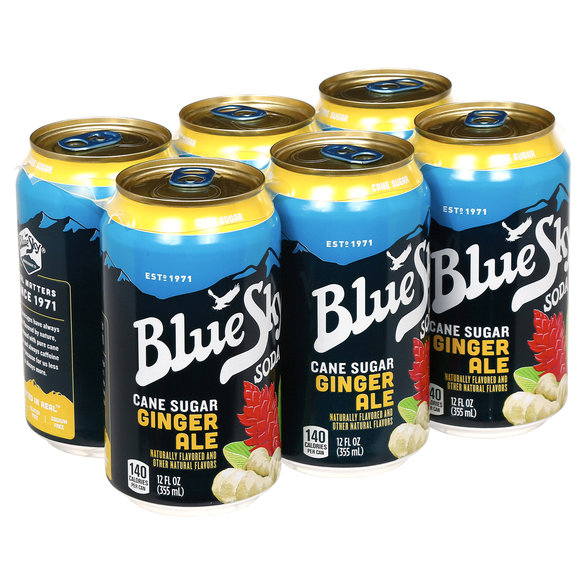 slide 2 of 6, Blue Sky Cane Sugar Ginger Ale Soda, 6 ct; 12 fl oz