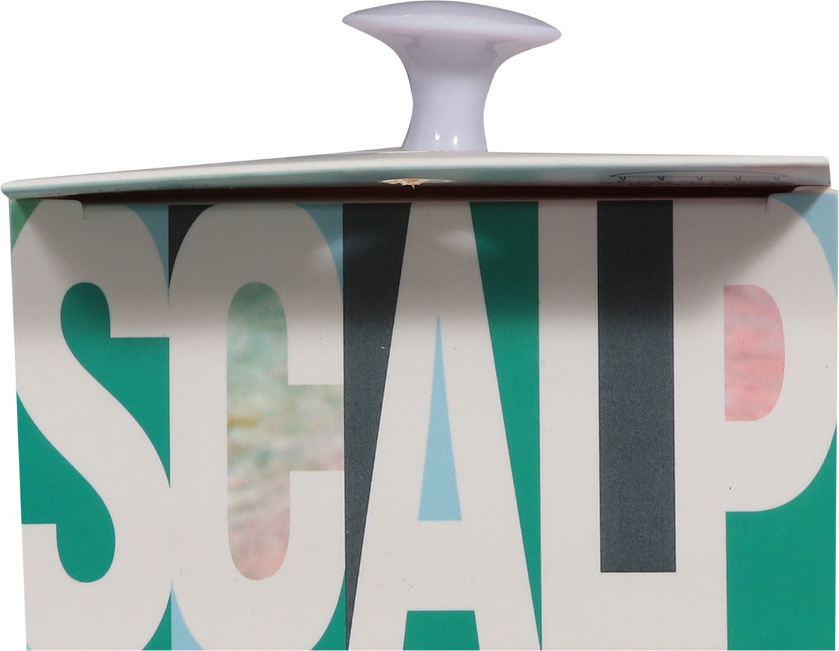 slide 9 of 11, Conair Scalp Treatment Brush 1 ea, 1 ct