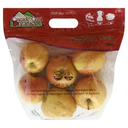 Chelan Fresh Apples 32 oz