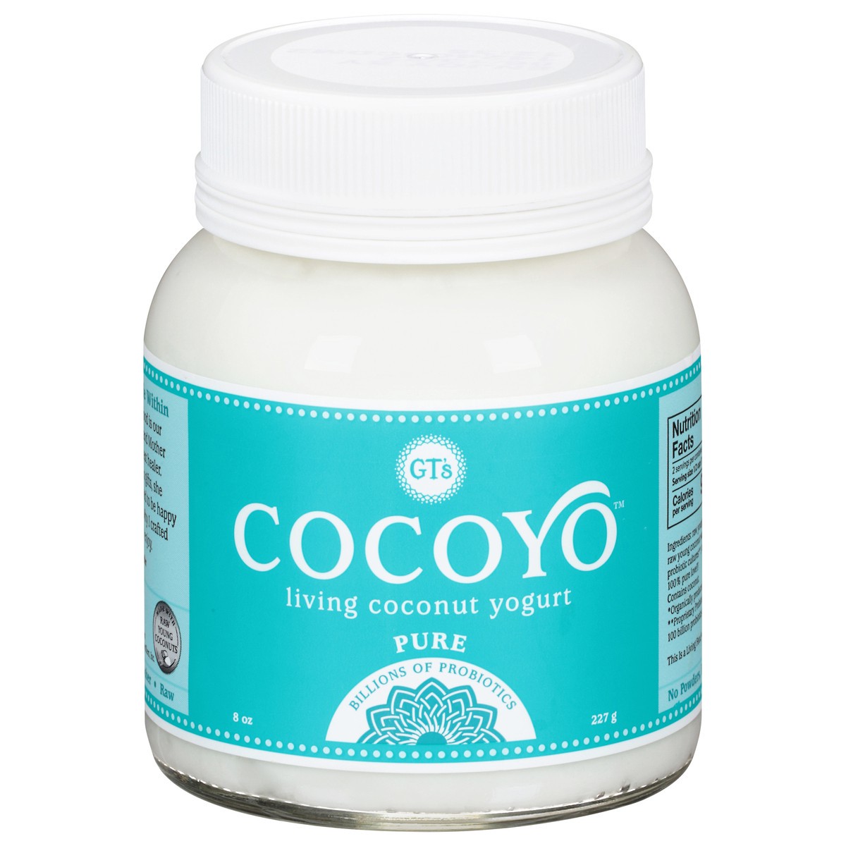 slide 1 of 9, Cocoyo Dairy Free Pure Coconut Yogurt, 8 fl oz