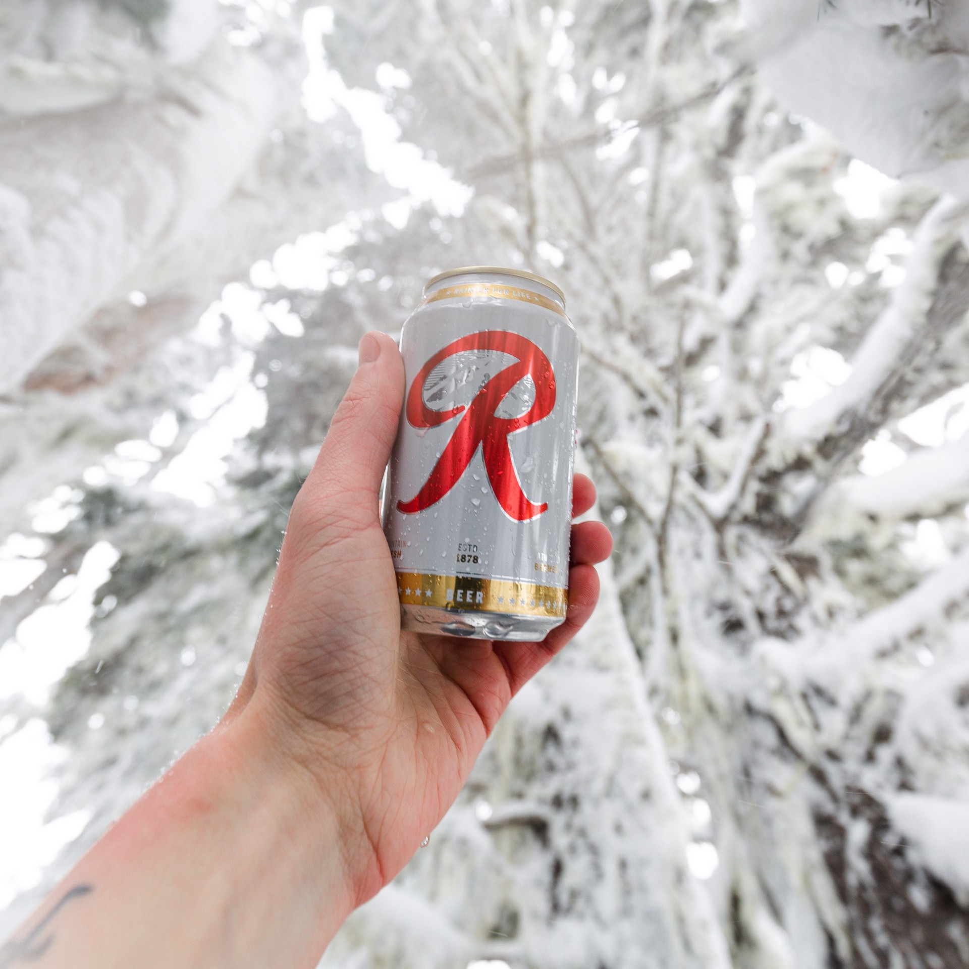 slide 2 of 6, Rainier Beer, 24 fl oz Can, 24 fl oz