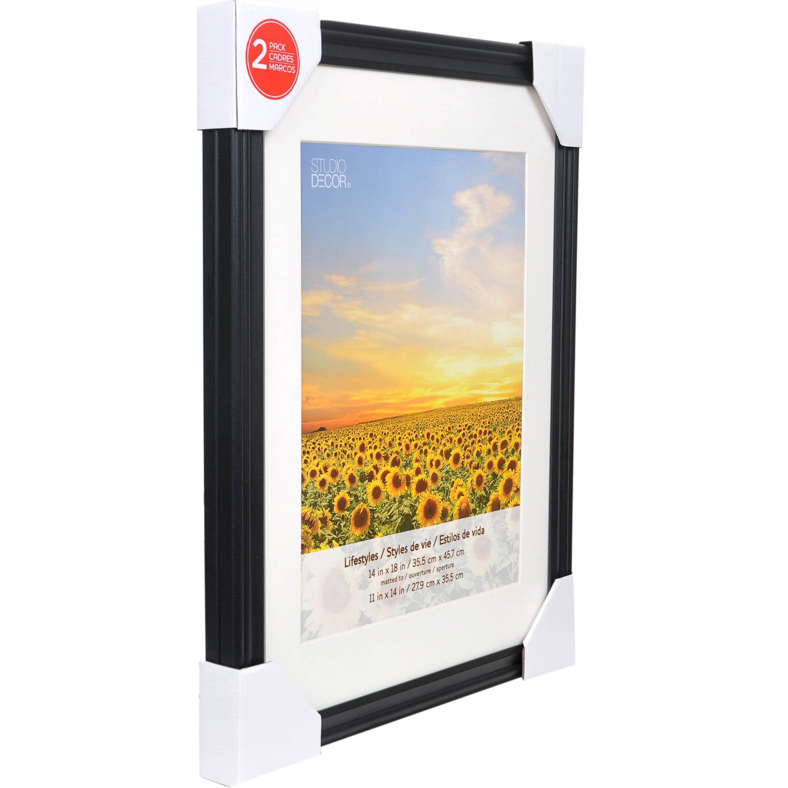 slide 2 of 6, 2 Pack Lifestyles 11" X 14" Black Frames With Mat By Studio Decor, 11 in x 14 in