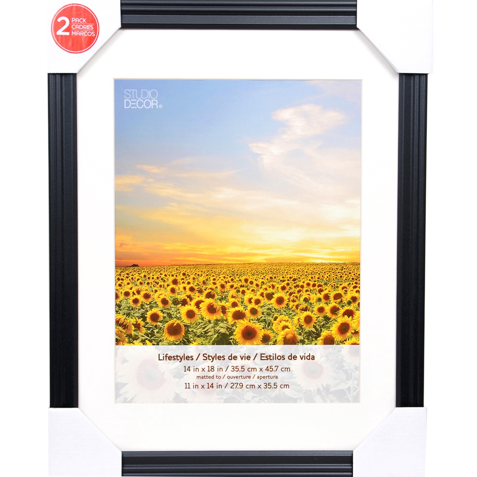 slide 4 of 6, 2 Pack Lifestyles 11" X 14" Black Frames With Mat By Studio Decor, 11 in x 14 in