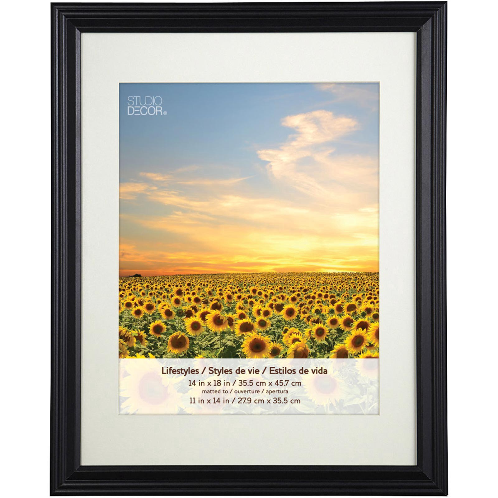 slide 6 of 6, 2 Pack Lifestyles 11" X 14" Black Frames With Mat By Studio Decor, 11 in x 14 in