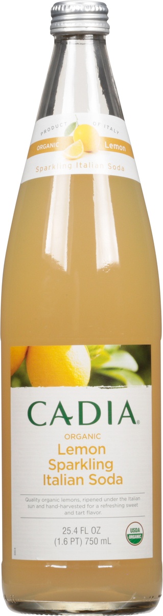 slide 9 of 11, Cadia Organic Lemon Sparkling Italian Soda, 25.4 fl oz