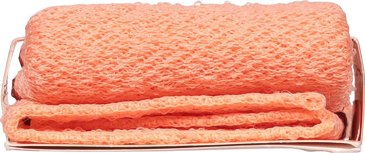 slide 4 of 9, Cleanlogic Stretch Bath And Shower Cloth, 1 ct