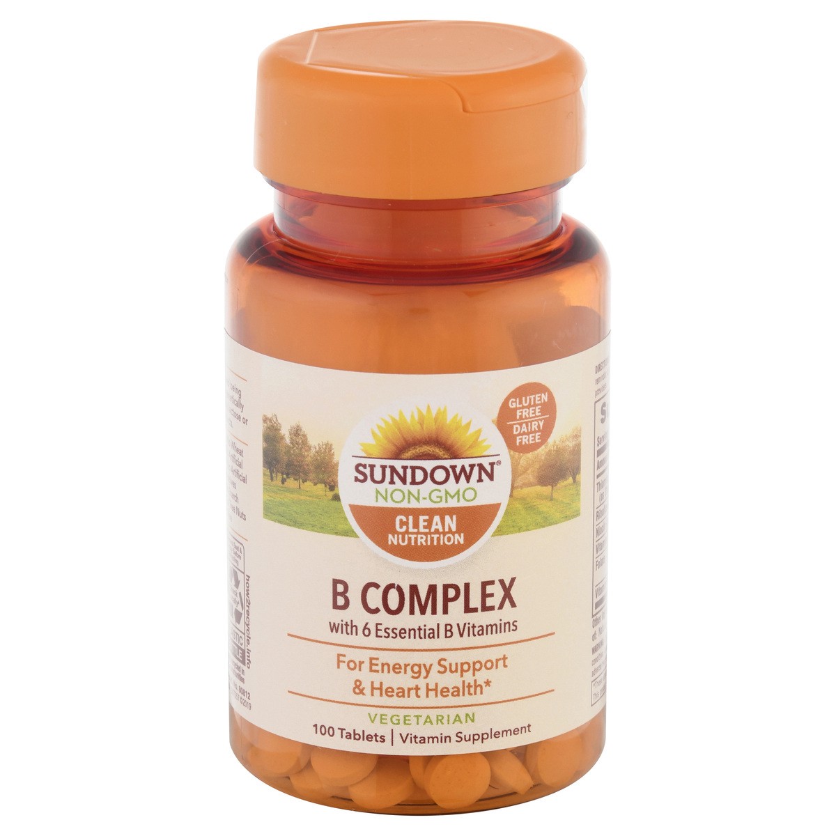 slide 1 of 9, Sundown Non-GMO Vitamin B Complex 100 ea, 100 ct