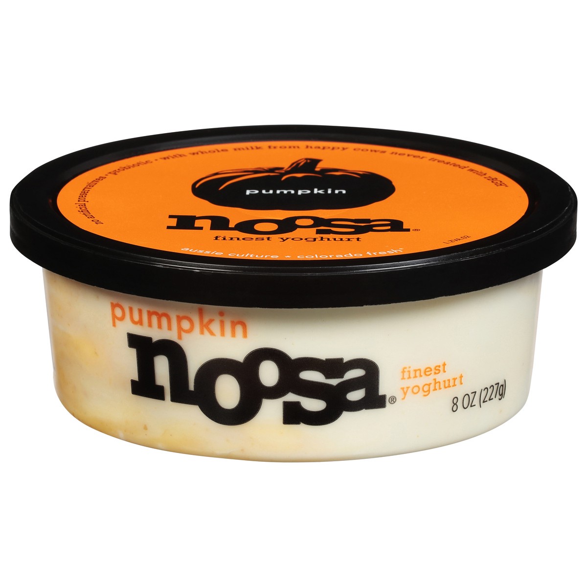 slide 1 of 9, Noosa Finest Pumpkin Yoghurt 8 oz, 8 oz