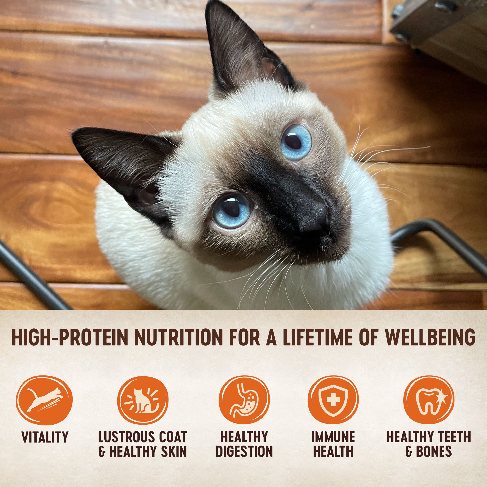 slide 4 of 5, Wellness Welnes Catcanslmnwhtfshhrrng, 1 ct