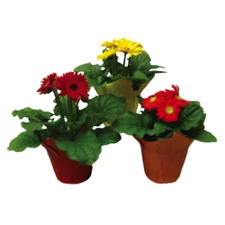 4.5'' Gerbera