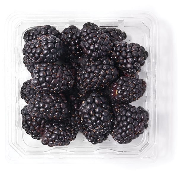 slide 1 of 1, Organic Blackberries, 6 oz