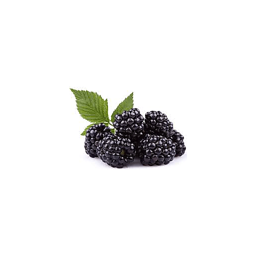 slide 1 of 1, Organic Blackberries, 6 oz