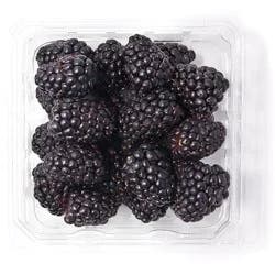 Organic Blackberries