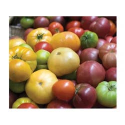Main Plu Scale Heirloom Tomatoes