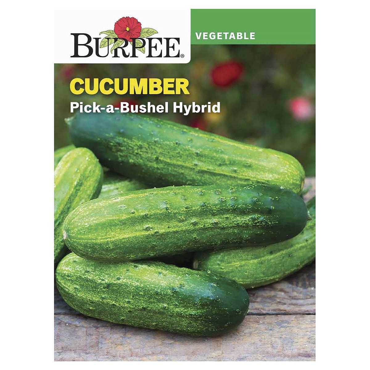 slide 1 of 5, Burpee Cucumber Picklebush Seeds, 1 ct