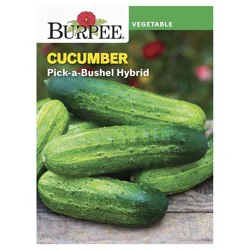 Burpee Cucumber Picklebush Seeds