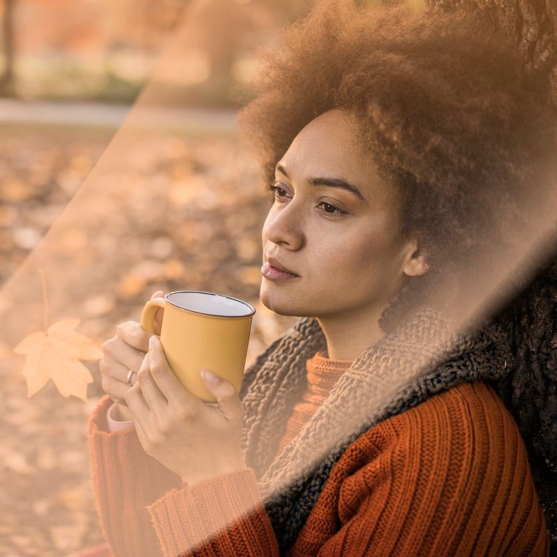 slide 6 of 7, Air Wick Scented Oils Air Freshener Refill - Fresh Pine & Juniper - 5pk, 5 ct