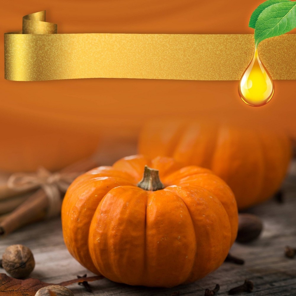 slide 2 of 6, Air Wick Scented Oil Refill Air Freshener - Pumpkin Spice, 5 ct, 3.38 oz