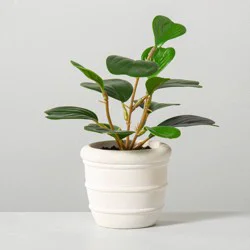 Hearth & Hand with Magnolia 8" Mini Faux Hoya Heart Plant - Hearth & Hand™ with Magnolia