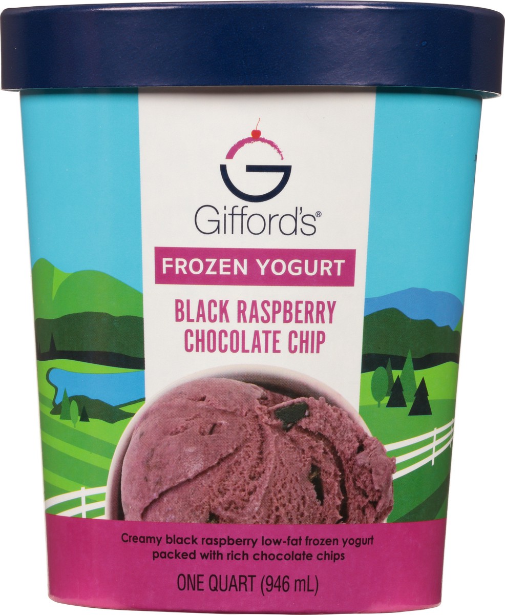 slide 1 of 3, Gifford's Black Raspberry Chocolate Chip Frozen Yogurt 1 qt Cup\Tub, 1 qt