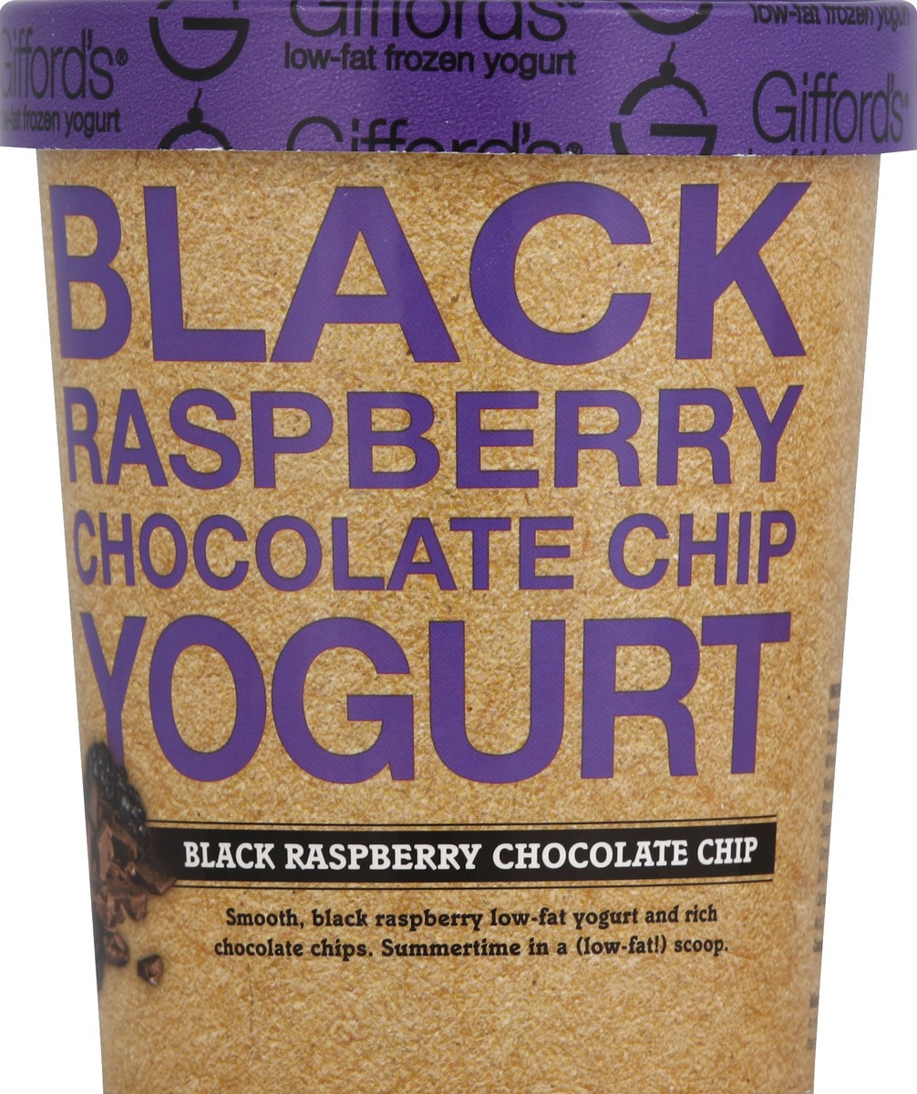 slide 2 of 3, Gifford's Black Raspberry Chocolate Chip Frozen Yogurt 1 qt Cup\Tub, 1 qt