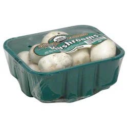 Fresh Organic Mushroom