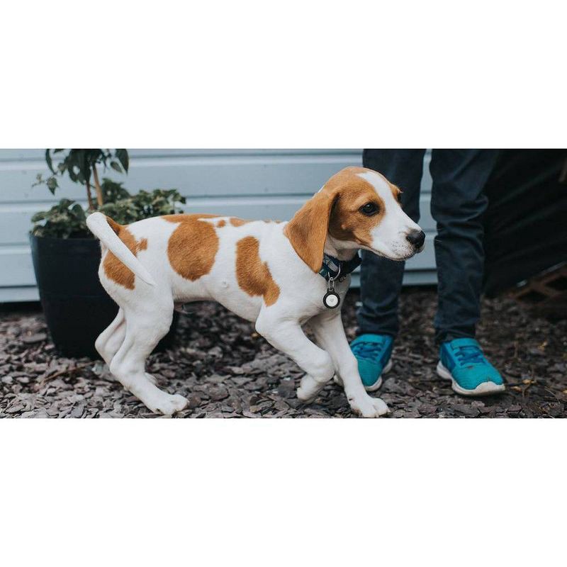 slide 6 of 6, Belkin Secure Holder with Key Ring for AirTag - Black, 1 ct